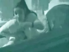 椅子に座っている茶色のロシアの黒のタイツ ...